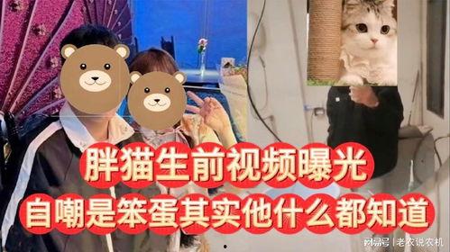 笨蛋最新爆料视频,惊人内幕大公开！  第1张